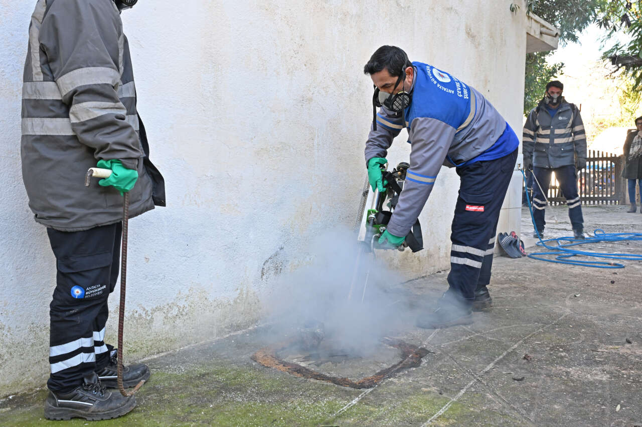 Antalya'da sivrisineklerle mücadele kış aylarından başladı 4